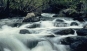 FLOW - Flow_1